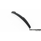 Спойлер BMW 7 (G70)