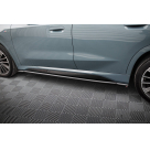 Пороги BMW X1 U11