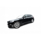 Пороги BMW X3 G01 2018-2021