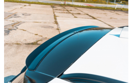 Спойлер BMW X3 F25 2014-2017