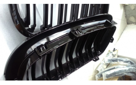 Решетка радиатора BMW X5 (F15)