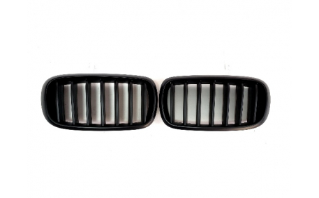 Решетка радиатора BMW X5 (F15)