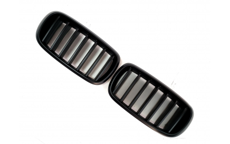 Решетка радиатора BMW X5 (F15)