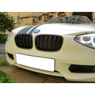 Решетка радиатора BMW 1 F20 2012-2014
