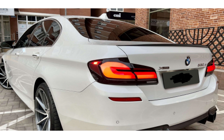 Фонари задние BMW 5 F10
