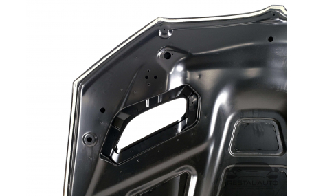 Капот BMW 5 G30