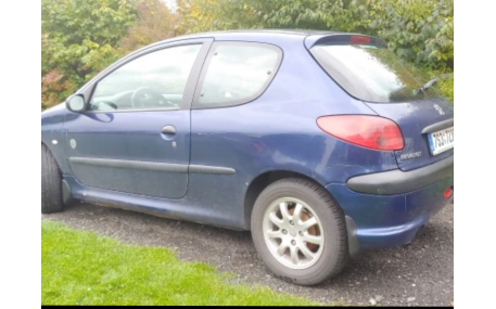 Брызговики Peugeot 206