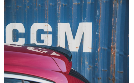 Спойлер Citroen DS4