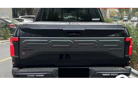 Фонари задние Ford F150