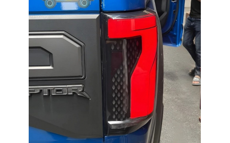 Фонари задние Ford F150