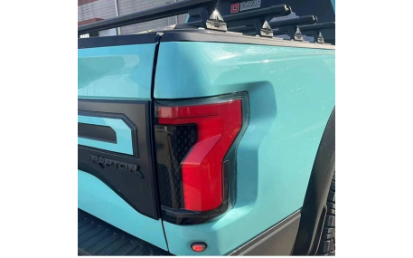 Фонари задние Ford F150