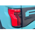 Фонари задние Ford F150