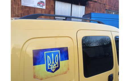 Рейлинги Mercedes Citan