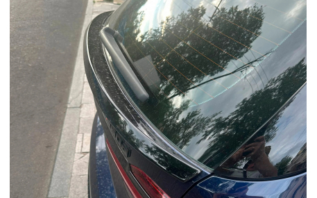Спойлер BMW X7 (G07)