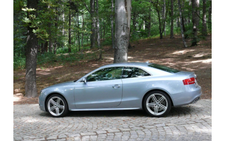 Пороги Audi A5