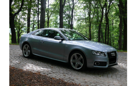 Пороги Audi A5