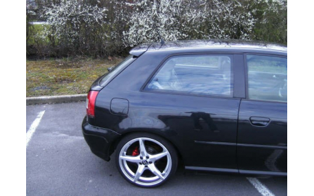 Спойлер Audi A3 8L
