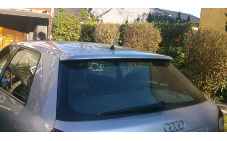 Спойлер Audi A3 8L