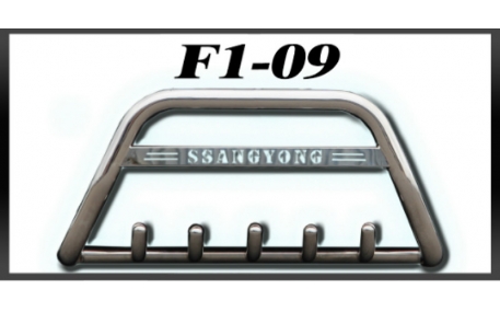 Защита передняя Ford Kuga MK1