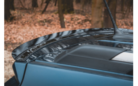 Спойлер Fiat Freemont 