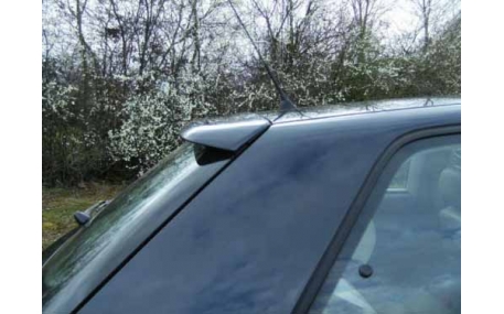 Спойлер Audi A3 8L