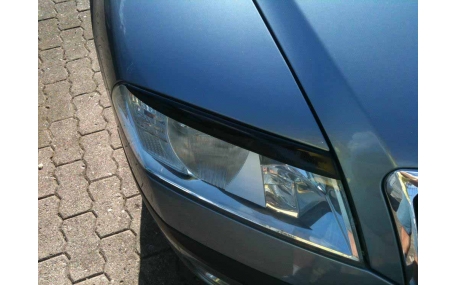 Ресницы Skoda Octavia A5