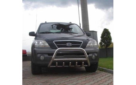 Защита передняя Kia Soul