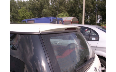 Спойлер Mini