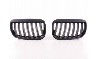 Решетка радиатора BMW X5 E53 2004-2006