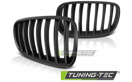 Решетка радиатора BMW X5 (E70)