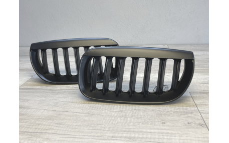 Решетка радиатора BMW X3 E83 2004-2006