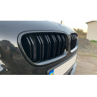 Решетка радиатора BMW 5 (F10)