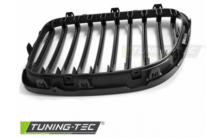 Решетка радиатора BMW X1 E84 2009-2012