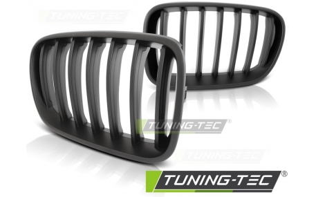 Решетка радиатора BMW X3 F25 2010-2014