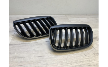 Решетка радиатора BMW X5 E53 2004-2006