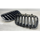 Решетка радиатора BMW X5 E53 2004-2006