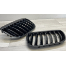 Решетка радиатора BMW X5 E53 2004-2006