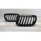 Решетка радиатора BMW X5 E53 2004-2006