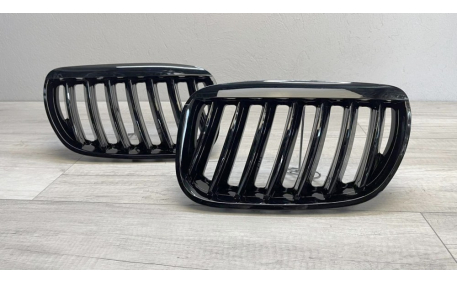 Решетка радиатора BMW X5 E53 2004-2006