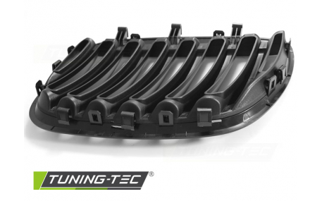 Решетка радиатора BMW X5 E53 2004-2006