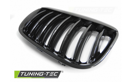 Решетка радиатора BMW X5 E53 2004-2006