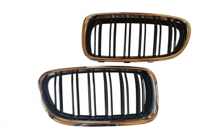 Решетка радиатора BMW 5 (F10)