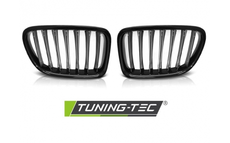 Решетка радиатора BMW X1 E84 2012-2015