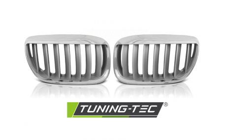 Решетка радиатора BMW X5 E53 2004-2006