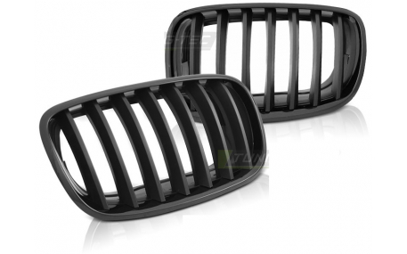 Решетка радиатора BMW X5 (E70)