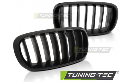 Решетка радиатора BMW X5 (F15)