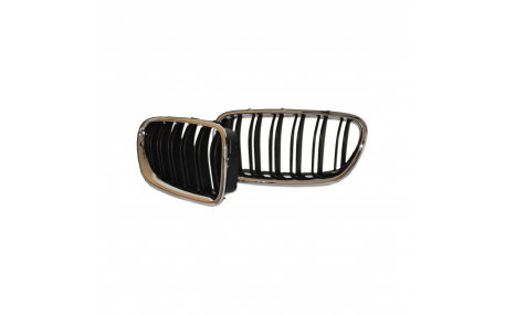 Решетка радиатора BMW 5 (F10)