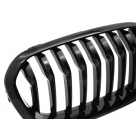 Решетка радиатора BMW 1 F20 2015-2019