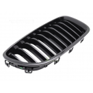 Решетка радиатора BMW 5 (F10)