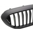 Решетка радиатора BMW 5 G30 2016-2020